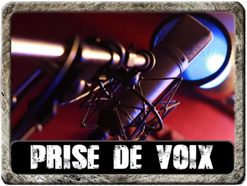 Vintage U87 P48 vocal mic