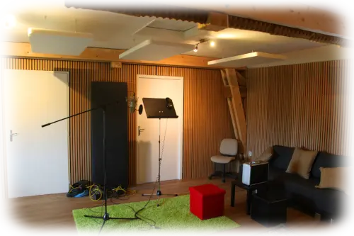Neumann Shure AKG mic